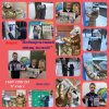 Трудно птицам зимовать